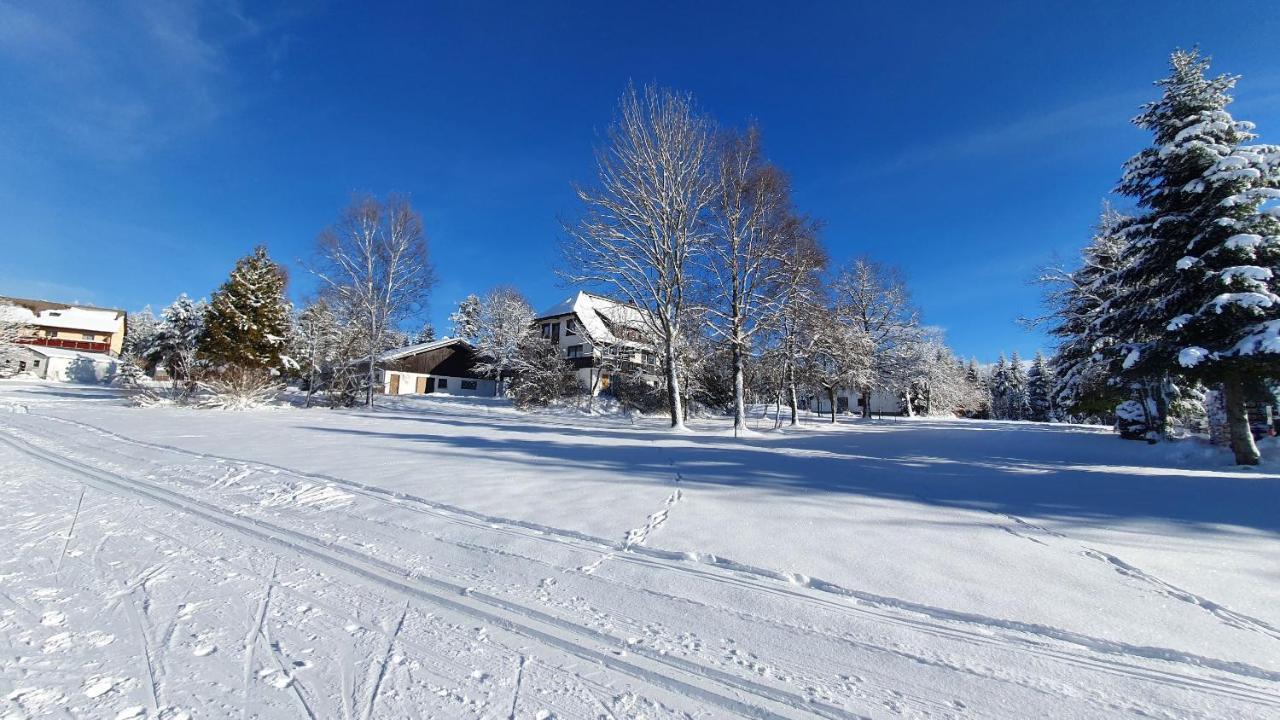 Haus Schoenblick Kniebis Bagian luar foto