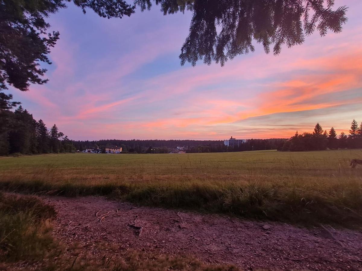 Haus Schoenblick Kniebis Bagian luar foto
