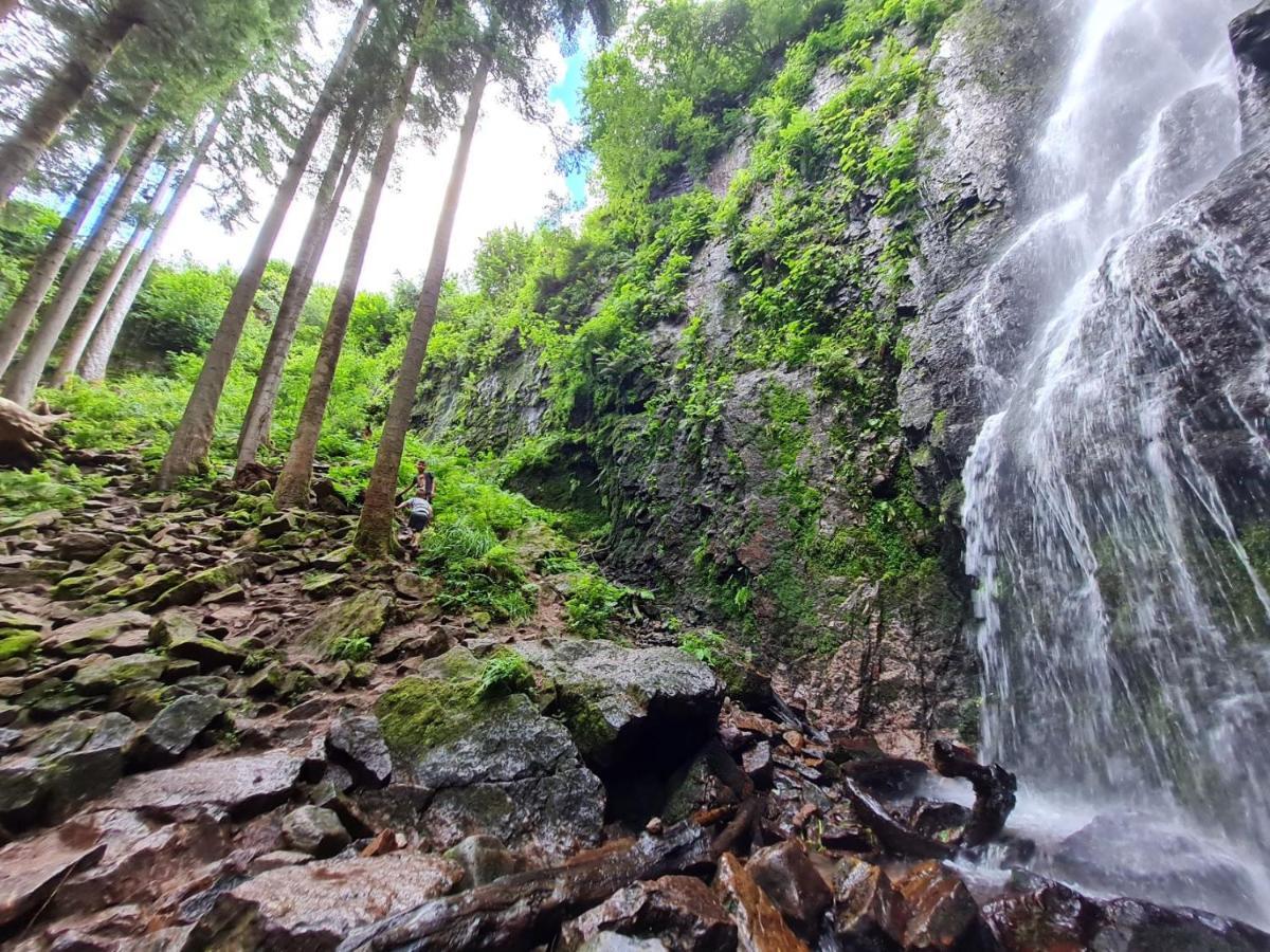 Haus Schoenblick Kniebis Bagian luar foto