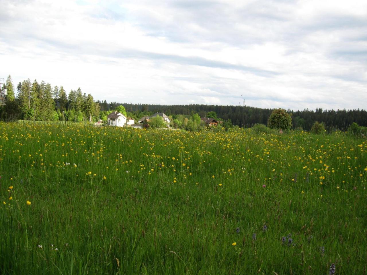 Haus Schoenblick Kniebis Bagian luar foto